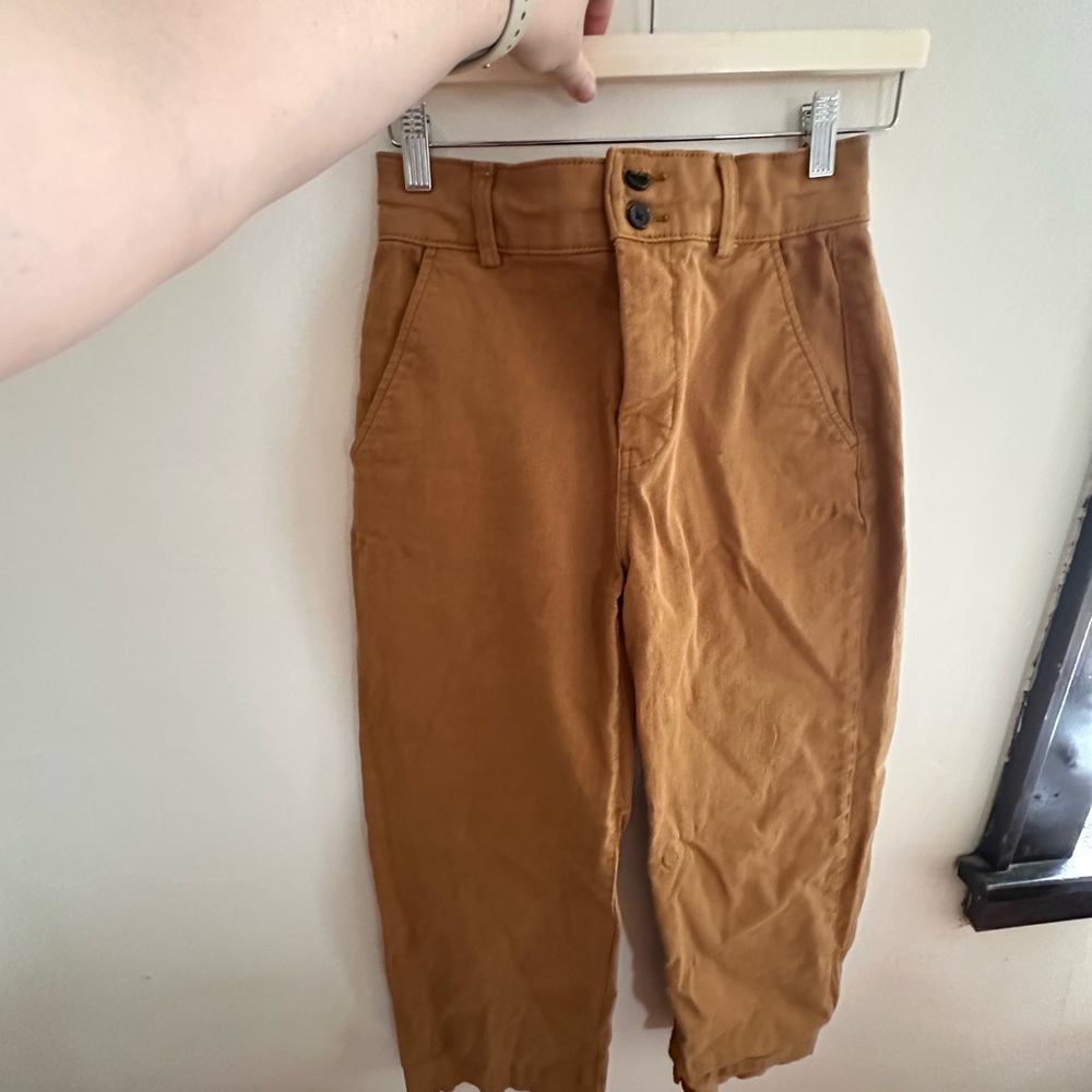 Everlane Organic Straight Leg Pant in Brown